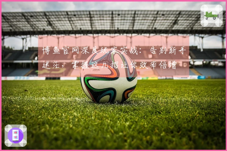 博鱼官网深度玩家实战：告别新手迷茫，掌握这几招让你效率倍增